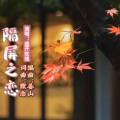 默念、盛开玫瑰 - 隔屏之恋【盛开玫瑰版】