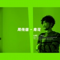 LIKE - 青花