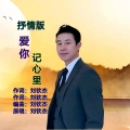 刘钦杰 - 爱你记心里 (抒情版)