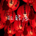 DJ半夏 - 红昭愿