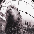 Pearl Jam - Cready Stomp