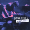 Shawn Mendes - Stitches