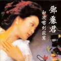 邓丽君 - 如果我有勇气