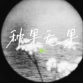 梁11 - 种果无果