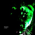 Pharmacy - Lioness