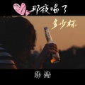 那夜喝了多少杯