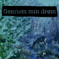 Gennem min drøm