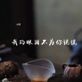 小何 - 我的眼泪不为你说谎