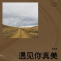 倪金茂 - 遇见你真美