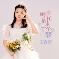 王睿萱 - 雪花