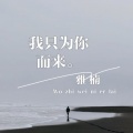 我只为你而来