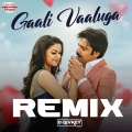 Gaali Vaaluga Remix (From 