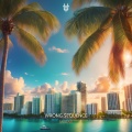 Wrong Sequence - Miami