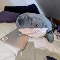 Obvii - uwa! blahaj! :3