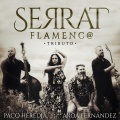 Paco Heredia、Nene Maya、Aroa Fernández、David Domínguez、Serrat Flamenco Tributo - Temps De Pluja