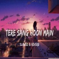My Love - Tere Sang Hoon Main