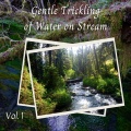 Gentle Trickling of Water on Stream Vol. 1