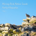 Sleeping Playlist、Go to Sleep Fast、Relaxing Morning Music - Cheerful Rain Forest Birdsong