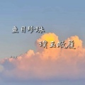 鱼目珍珠 璞玉敝履