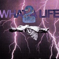 june!、LIFEOFTHOM - CARGO
