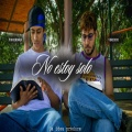 No estoy sólo (feat. Fisherman) [Explicit]