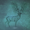 Quadrumana - Matoke