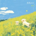 袁kk - 傻傻love
