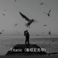 Titanic (泰坦尼克号)