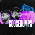 Goosebumps
