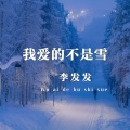 我爱的不是雪