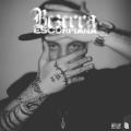 Bezerra - Escorpiana