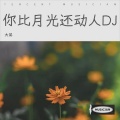 你比月光还动人DJ