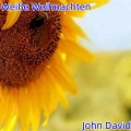 John David - Weiße Weihnachten