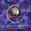 Marco Tegui、Dole & Kom - Pentimento