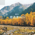 DJ.FLM - 放纵 DJ