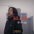 薛鹏 - 红梅2024