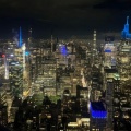 Vein - Gotham
