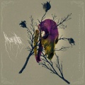 Muerto - Decay