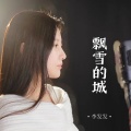 李发发 - 飘雪的城