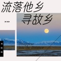 流落他乡寻故乡