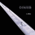 DJ铁柱 - 会呼吸的痛