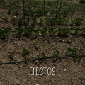 Joel Blood - Efectos