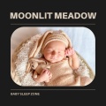 Moonlit Meadow: Instrumental Lullabies