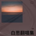 白思 - 我在人民广场吃炸鸡 (Live)