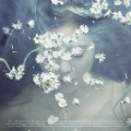 IRENE - Summer Rain