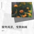 乌兰 - 只需要用心去感受