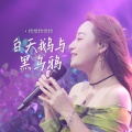 恰恰恰恰恰 - 白天鹅与黑乌鸦
