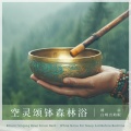 ASMR空灵颂钵：避风港 (大自然森林白噪音)(ASMR Singing Bowls for Safe Haven (Running Water、Bird Calls))