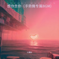 想你念你 (手势舞专属BGM)