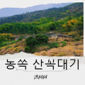 동쪽 산꼭대기의 할머니 이름은 궁개이다